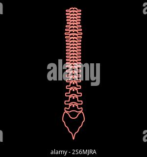 Neon human spine red color vector illustration flat style light image. Neon human spine red color vector illustration flat style image Stock Vector