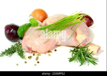 Chicken legs Stock Photo