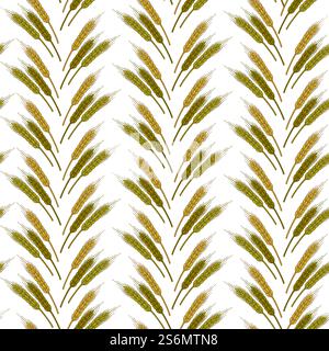 Harvesting and agriculture, ripe wheat spikelets seamless pattern. Farming and caring for crops, rural organic ingredients, production in farm. Healthy dieting and nutrition, vector in flat style. Wheat spikelets in rows, agriculture and harvesting seamless pattern Stock Vector