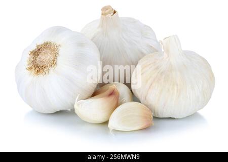 Garlic Garlic cloves healthy fresh spice vegetables cropped cropped isolated against a white background Stock Photo