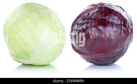 White cabbage White cabbage Blue cabbage Red cabbage Cabbage Cabbage Vegetables Free space isolated in front of a white background Stock Photo
