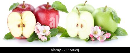 Apple fruit apples fresh fruit fruit red green cut clipping isolated in front of a white background Stock Photo