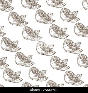 Lime or lemon slice with leaf, seamless pattern of cut citrus. Juicy plant with vitamin c, dieting or detoxing. Nutrition or dessert, snack taste. Monochrome sketch outline, vector in flat style. Lemon or lime with leaf monochrome seamless pattern Stock Vector