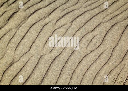 A texture of sand on the beach created by wind and waves Stock Photo