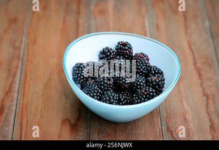 A bowl of freshly picked sweet juicy blackberries Stock Photo