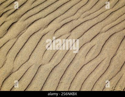 A sand texture created by wind and waves on the beach Stock Photo