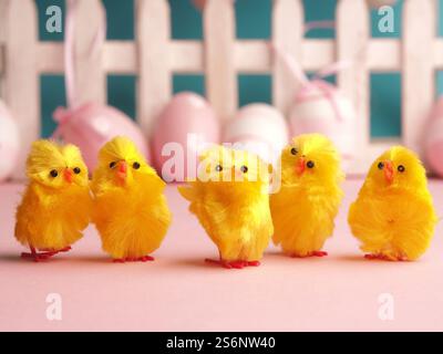 Close up of five cute chicks with Easter eggs background Stock Photo