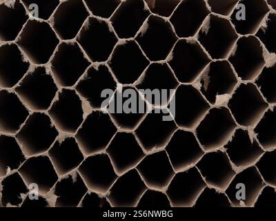 Recycled cardboard texture using as background with space for your text or image Stock Photo