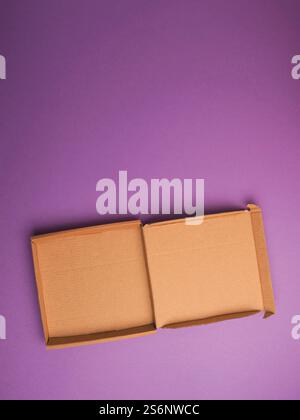 Eco friendly pizza box on a purple studio background using as food template Stock Photo