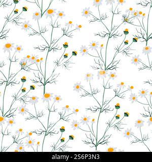 Blooming chamomile flower, medical plant or herb. Wildflower with leaves and stem, buds blossom and foliage. Seamless pattern or background, print or repeatable wallpaper. Vector in flat style. Chamomile flower with blossom seamless pattern Stock Vector