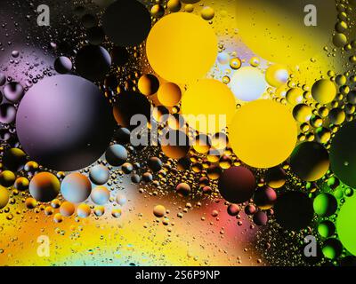 Vivid imagery of colorful oil bubbles forming unique patterns on water, with vibrant hues and reflections creating an artistic visual effect. Perfect Stock Photo