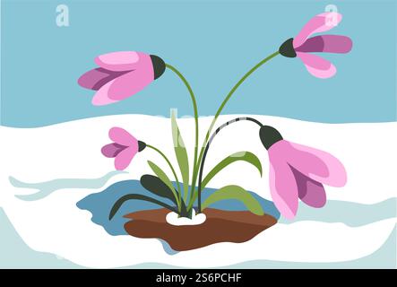 Spring blooming and revival of nature, crocus growing out of snow. Blossom of first flowers. Snowy landscape with frost and chill and botany, march or april snowdrop botany. Vector in flat style. Crocus growing out of snow, spring season vector Stock Vector