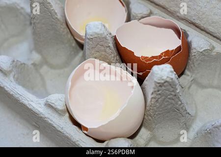 Eggshells in an egg carton Stock Photo