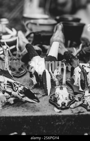 A table full of skulls and bones, some of which are painted. The skulls are arranged in various positions, with some placed in the foreground and othe Stock Photo