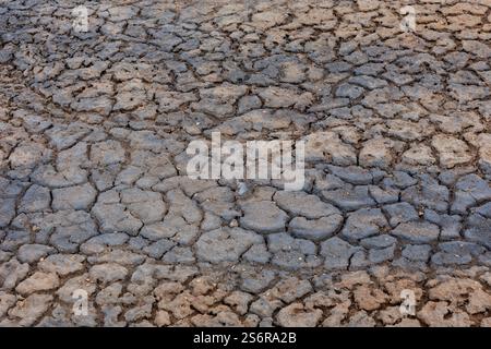 Brown and grey dry volcanic cracked clay soil in Myvatn Geothermal Area in Iceland. Stock Photo