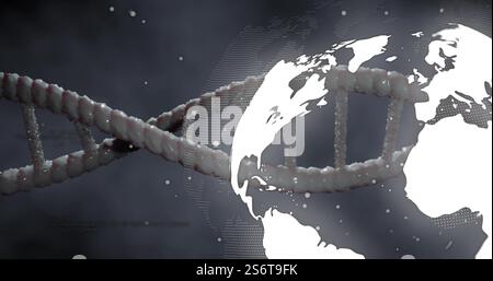 Image of dna strand and globe on black background Stock Photo