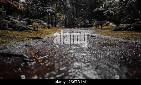 Close up of various sizes of smooth stones and pebbles on a natural surface. Stock Photo