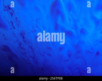Windshield passing through a car wash Stock Photo