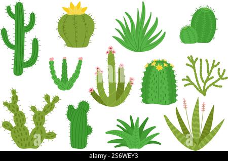 Mexican cactus. Isolated mexico cacti, houseplants decorative set. Desert green cactuses, nature blooming plants succulents. Cartoon decent vector botanical kit. Illustration of mexican cactus set. Mexican cactus. Isolated mexico cacti, houseplants decorative set. Desert green cactuses, nature blooming plants succulents. Cartoon decent vector cute botanical kit Stock Vector
