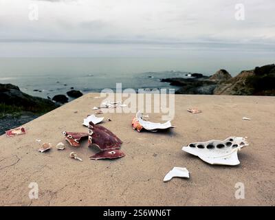 Remnants of a crab shell left on a picnic table by seagulls. Stock Photo