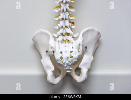 Close up view of IV fluid holding stand selective focus. Stock Photo