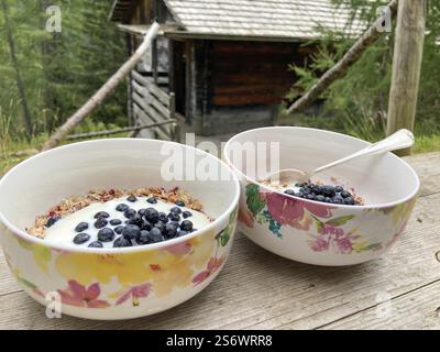 Healthy breakfast at the mountain hut, muesli with fresh blueberries and yoghurt Stock Photo