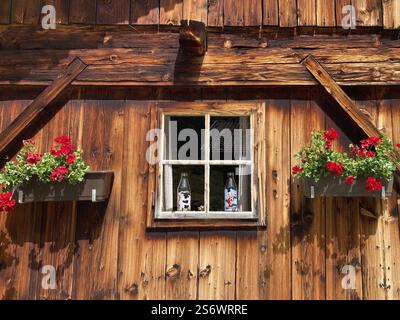 Window in the wooden wall of a rustic old alpine hut with geraniums, East Tyrol, Austria, Europe Stock Photo