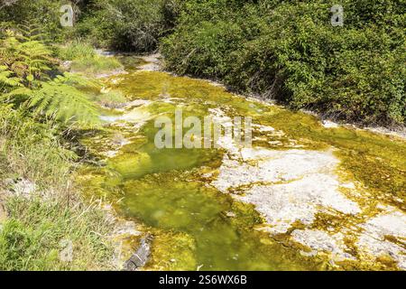 An image of a volcanic activities at waimangu new zealand Stock Photo