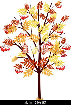 Autumn Maple Tree With Falling Leaves on White Background. Elegant Design with Ideal Balanced Colors. Vector Illustration. Stock Vector