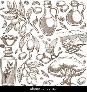 Producing olives in farm, making oil for cooking and beauty usage. Tree with branches and ripe vegetables, Mediterranean dieting and nutrition ingredients. Vector in flat style, monochrome sketch. Growth of olive tree, oil for cooking and beauty Stock Vector