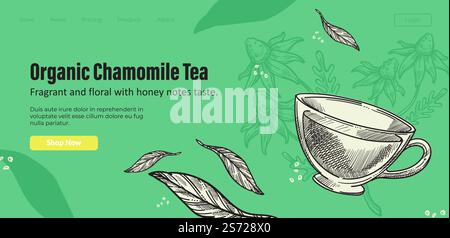 Natural and relaxing chamomile tea, warm beverage with dry mint leaves. Drink with antioxidants and healthy ingredients for boosting immunity. Website or landing page template, vector in flat style. Organic chamomile tea, beverage with mint leaves Stock Vector