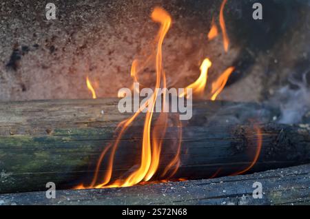 Old burning log engulfed in flames. Cooking on a campfire outdoors. Stock Photo