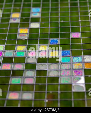 colourful detergent bubbles Stock Photo