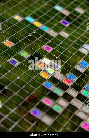 colourful detergent bubbles Stock Photo