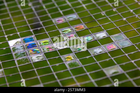 colourful detergent bubbles Stock Photo