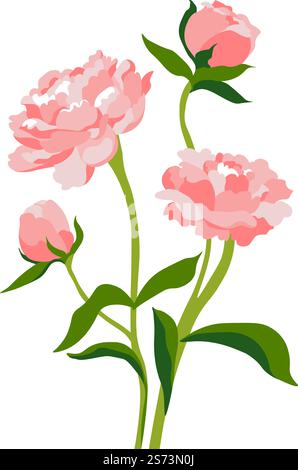 Peony or roses in blossom, blooming flowers foliage and botany. Florist composition with lush petals. Alstroemeria or gerbera, gift or present, greeting card decoration for holiday. Vector in flat. Pion or rose in blossom, peony flower blooming Stock Vector