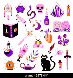 Foretelling and witchcraft, sorcery and magic symbols. Isolated skull, amethyst gemstone, book of spells, mushroom and feather for potions and enchantment. Black cat pet. Vector in flat style. Magic symbols and items, witchcraft and sorcery Stock Vector