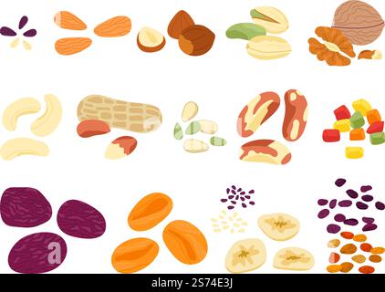 Dried fruits nuts and seed. Crunchy snack mix, various natural food, nuts and sunflower seeds. Different chips, almond, pistachio, cereal decent vector set. Illustration of candied fruit and organic. Dried fruits nuts and seed. Crunchy snack mix, various natural food, nuts and sunflower seeds. Different chips, almond, pistachio, cereal decent vector set Stock Vector