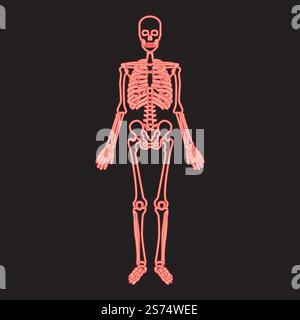 Neon human skeleton red color vector illustration image flat style light. Neon human skeleton red color vector illustration image flat style Stock Vector