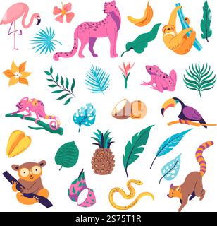 Wilderness and tropical flora and fauna, animals and botany. Isolated monstera leaves and pineapple, koala sitting on tree branch and flamingo, road and lizards, sloths. Vector in flat style. Tropic botany and animals, wilderness vectors Stock Vector