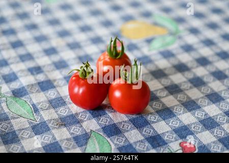 Three ripe cherry tomatoes on a blue and white checkered tablecloth - Solanum lycopersicum var. cerasiforme Stock Photo