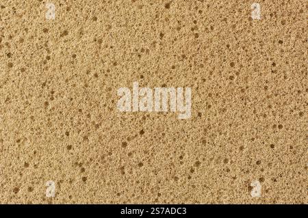 surface of beige color sponge cushion or foam in close-up macro view, textured soft and slightly bouncy material with tiny holes or pores, abstract Stock Photo