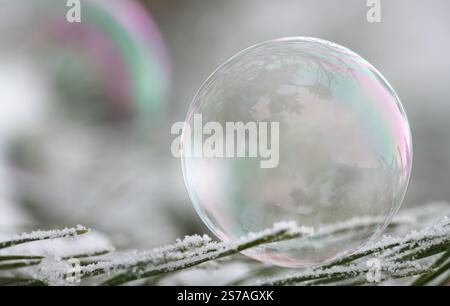A soap bubble shimmers in rainbow colors against a grey background. There is space for text Stock Photo