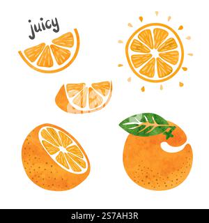 Orange fruit set. Vector watercolor collection of fresh oranges Stock Vector
