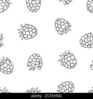 Raspberry seamless pattern. Doodle berries isolated on white background Stock Vector