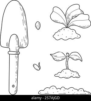 Vector illustration of different stages of growing plants. Suitable for use on websites, articles, labels, packaging. Gardening tools. Growing Stock Vector