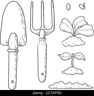 Vector illustration of different stages of growing plants. Suitable for use on websites, articles, labels, packaging. Gardening tools. Growing Stock Vector