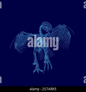 Skeleton of a bird is shown in blue. The skeleton is in a very detailed and realistic manner. The image has a mood of mystery and intrigue, as it is n Stock Vector