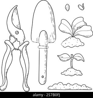 Vector illustration of different stages of growing plants. Suitable for use on websites, articles, labels, packaging. Gardening tools. Growing Stock Vector