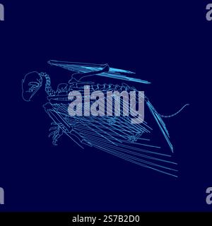 Blue skeleton of a bird with a long tail. The skeleton is drawn in blue Stock Vector